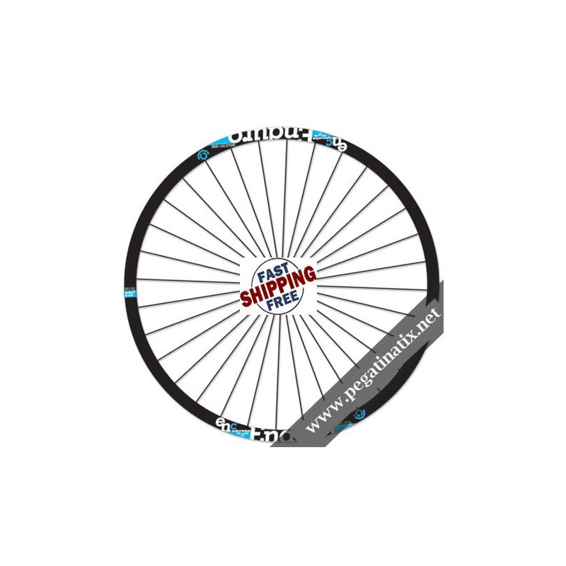 STICKERS WHEEL INDUSTRYNINE ENDURO CARBON