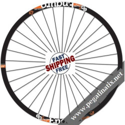 STICKERS WHEEL INDUSTRYNINE ENDURO CARBON