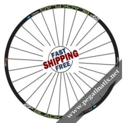 STICKERS WHEEL RIMS SYNCRO XH RC BY DT SWISS