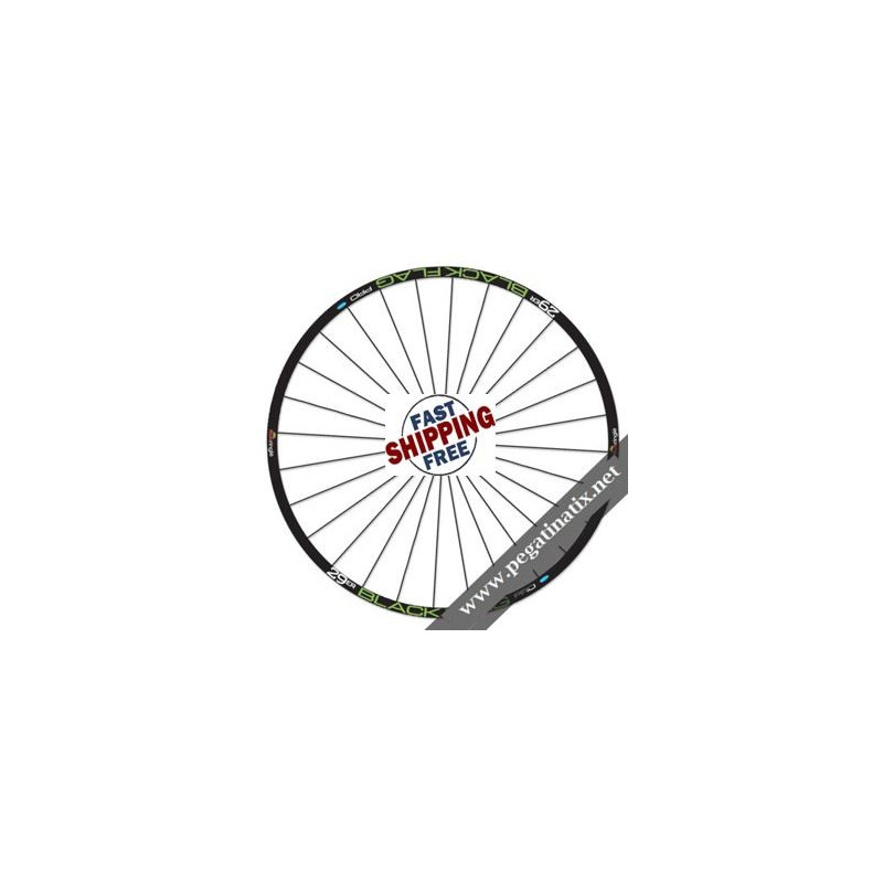 STICKERS WHEEL RIMS SYNCRO XH RC BY DT SWISS