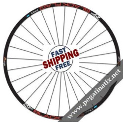 STICKERS WHEEL RIMS SYNCRO XH RC BY DT SWISS