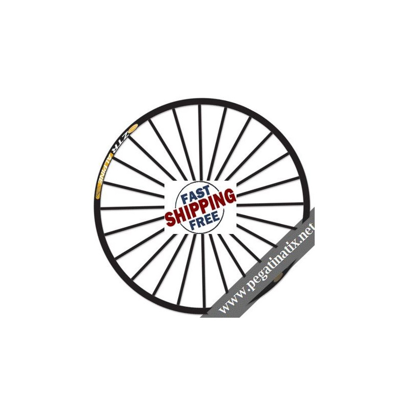 STICKERS WHEEL RIMS ZTR ALPINE 2012