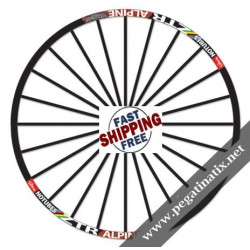 STICKERS WHEEL RIMS ZTR ALPINE WORLDCUP