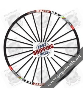 STICKERS WHEEL RIMS ZTR ALPINE WORLDCUP (Compatible Product)