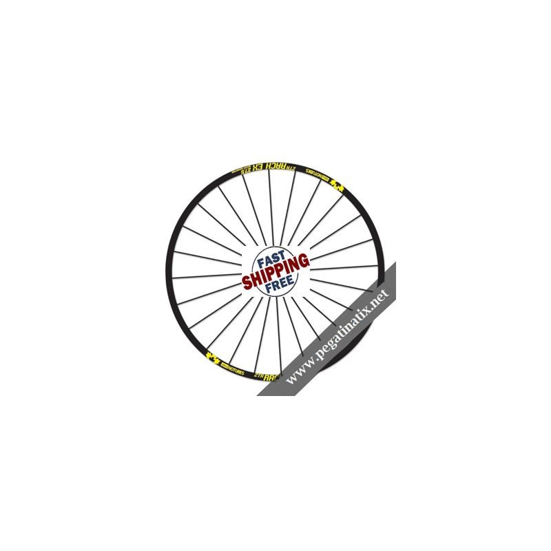 STICKERS WHEEL RIMS ZTR ARCH EX ROCKY MOUNTAIN