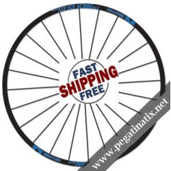STICKERS WHEEL RIMS ZTR ARCH EX ROCKY MOUNTAIN