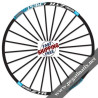 STICKERS WHEEL RIMS ZTR CREST
