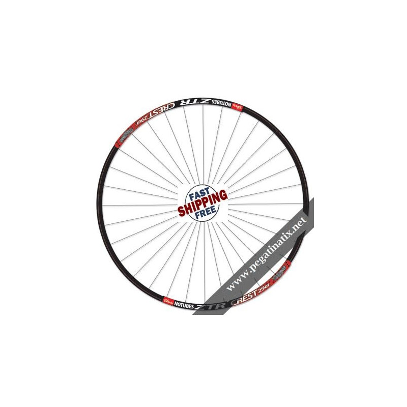 STICKERS DECALS ZTR CREST 29ER