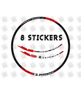 Sticker decal WHEEL RIMS DT SWISS SPLIVE X1600 (Compatible Product)