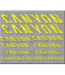 Sticker decal bike CANYON 
