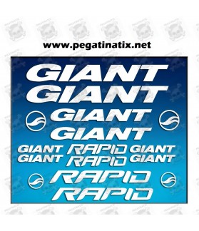 Stickers decals bike GIANT RAPID AM29 (Compatible Product)