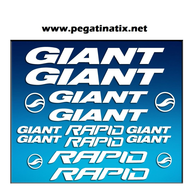 Stickers decals bike GIANT RAPID AM29