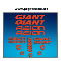 Stickers decals bike GIANT REIGN AM30