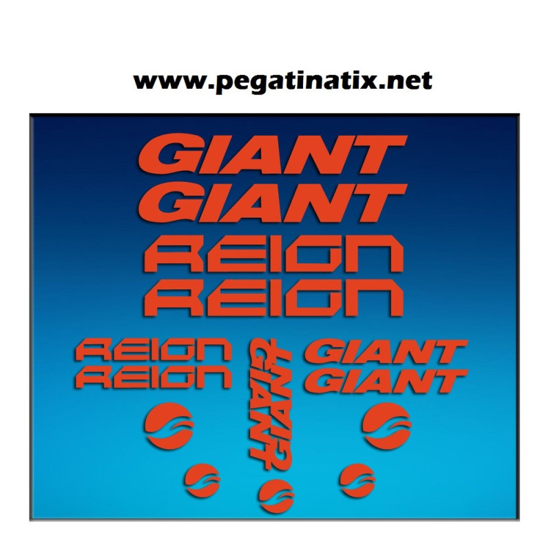 Stickers decals bike GIANT REIGN AM30