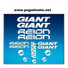 Stickers decals bike GIANT REIGN AM30
