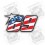 Sticker decal MOTO GP NICKY HAYDEN USA 10 x 6 cm (Compatible Product)