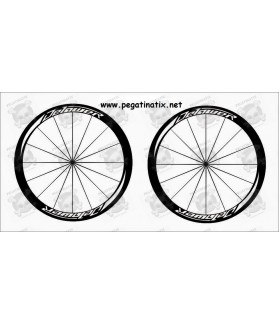 Sticker decal bike wheel rims DELAWER