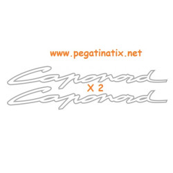 Stickers decals motorcycle APRILIA CAPONORD