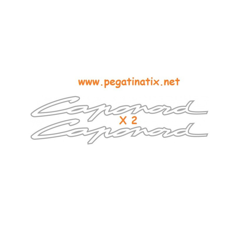 Stickers decals motorcycle APRILIA CAPONORD