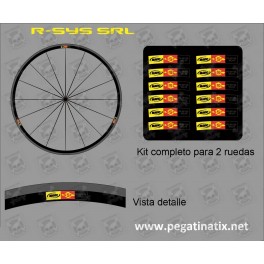 Sticker decal bike MAVIC COSMIC R-SYS SLR