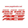 Stickers decals bike PACE 325.5