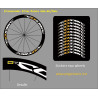 Sticker decal bike MAVIC COSMIC CARBON SLE