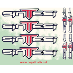 Sticker decal bike SINTTESI 