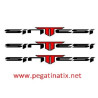 Sticker decal bike SINTTESI 