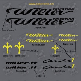 Sticker decal bike WILIER CANTO 1 TWO COLORS