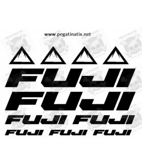 Stickers decals bike FUJI (Compatible Product)