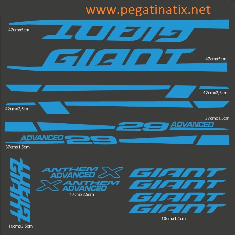 Stickers decals bike GIANT ANTHEM