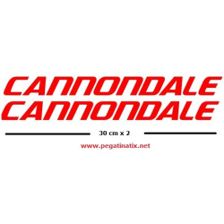 STICKER DECALS BIKE CANNONDALE SAECO