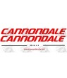STICKER DECALS BIKE CANNONDALE SAECO