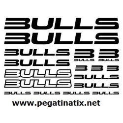 Decals sitickers cycle BULLS