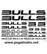 Decals sitickers cycle BULLS