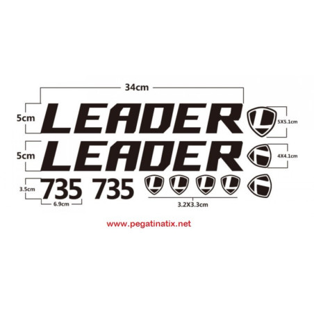 Sticker decals bike LEADER