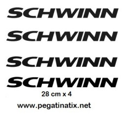 Stickers decals cycle SCHWINN