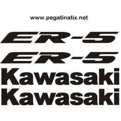 Stickers decals KAWASAKI ER5