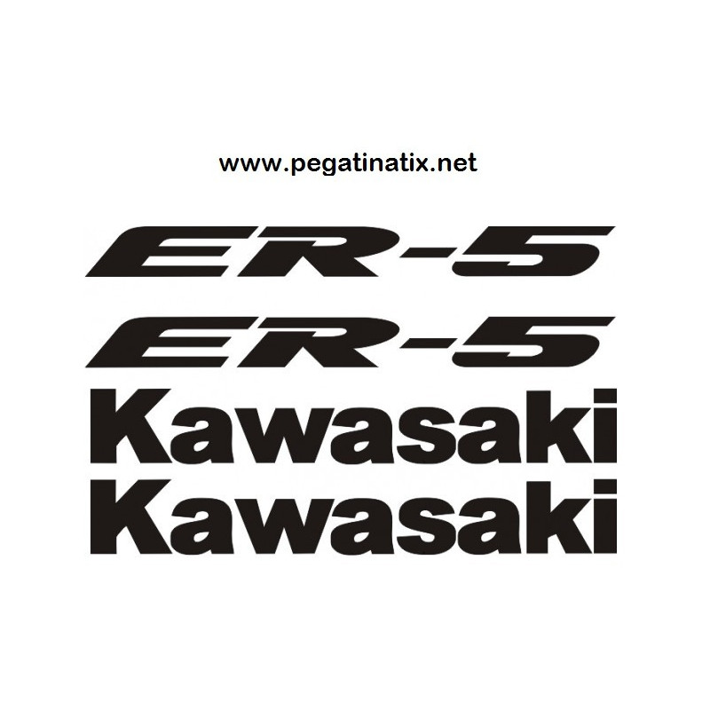 Stickers decals KAWASAKI ER5