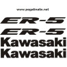 Stickers decals KAWASAKI ER5