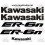ADESIVI KAWASAKI ER-6N (Prodotto compatibile)