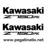 Stickers decals KAWASAKI Z750R