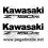 Stickers decals KAWASAKI Z-750R (Compatible Product)