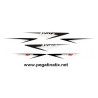 Stickers decals KAWASAKI ZX10R YEAR 2007