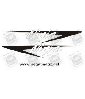 Stickers decals KAWASAKI ZX10R YEAR 2008 (Compatible Product)