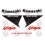 Stickers decals KAWASAKI ZX10R WHITE (Producto compatible)
