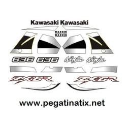 Stickers decals KAWASAKI ZX636 YEAR 2002