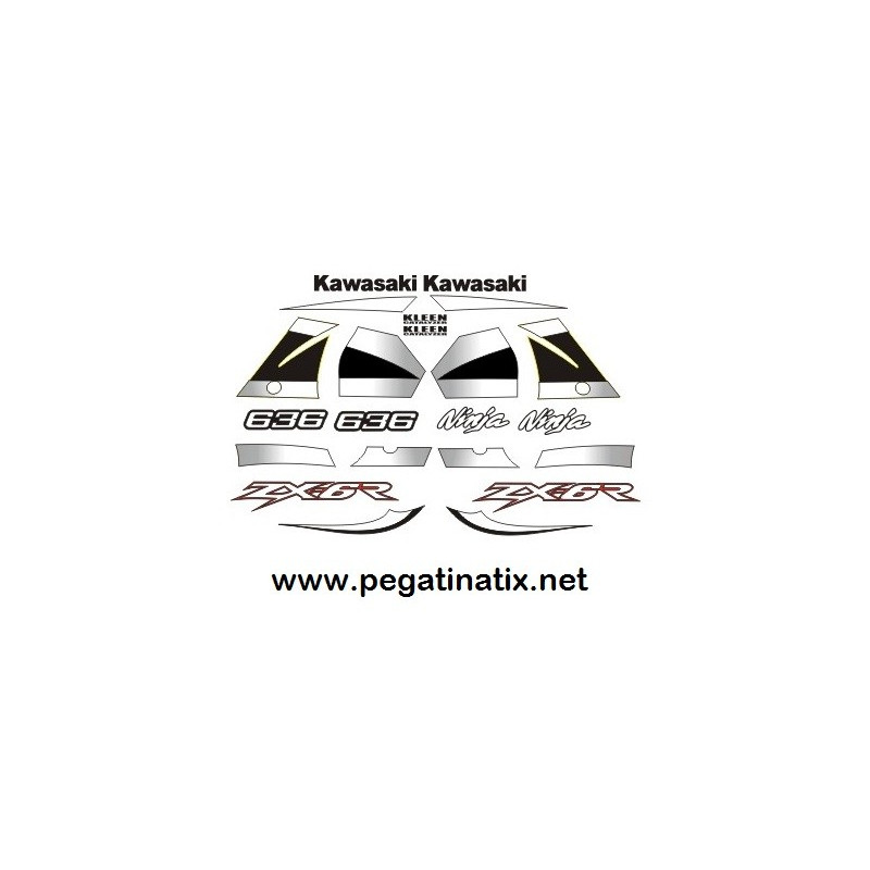 Stickers decals KAWASAKI ZX636 YEAR 2002