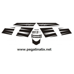 Stickers decals KAWASAKI ZX6R YEAR 2008