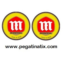 Stickers decals MONTESA LOGO GEL